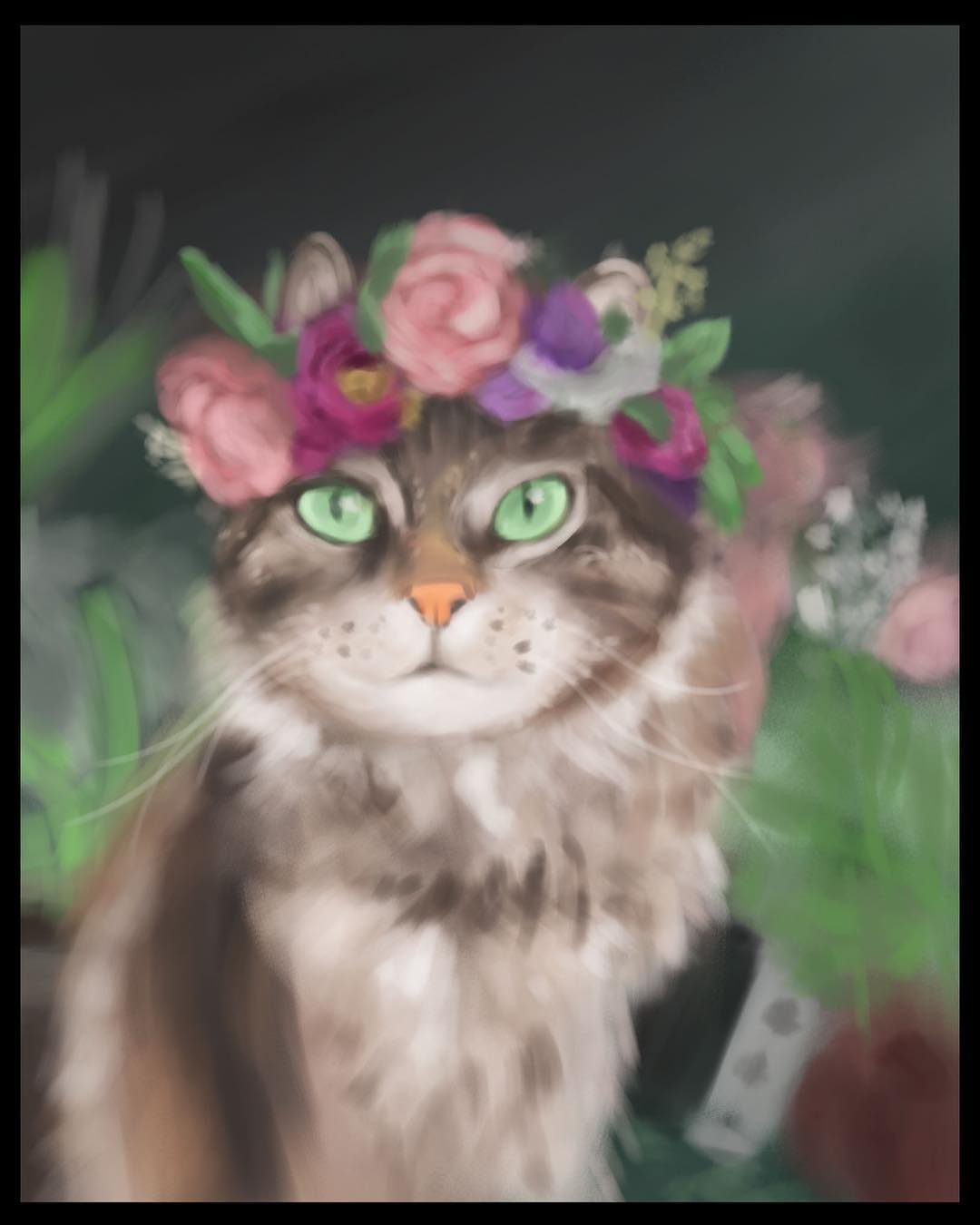 2019 - Cat Photo Study