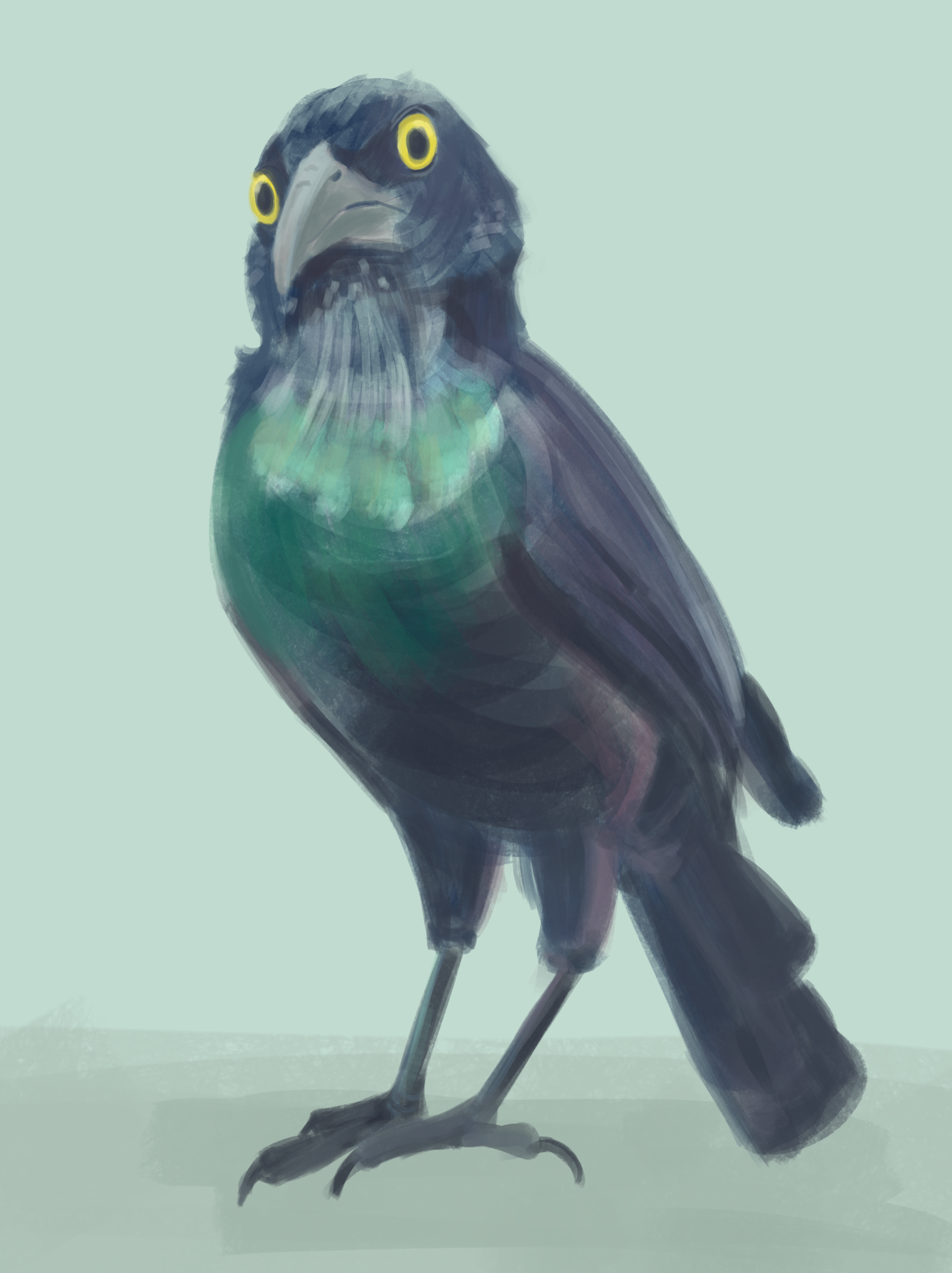 2021 - Grackle