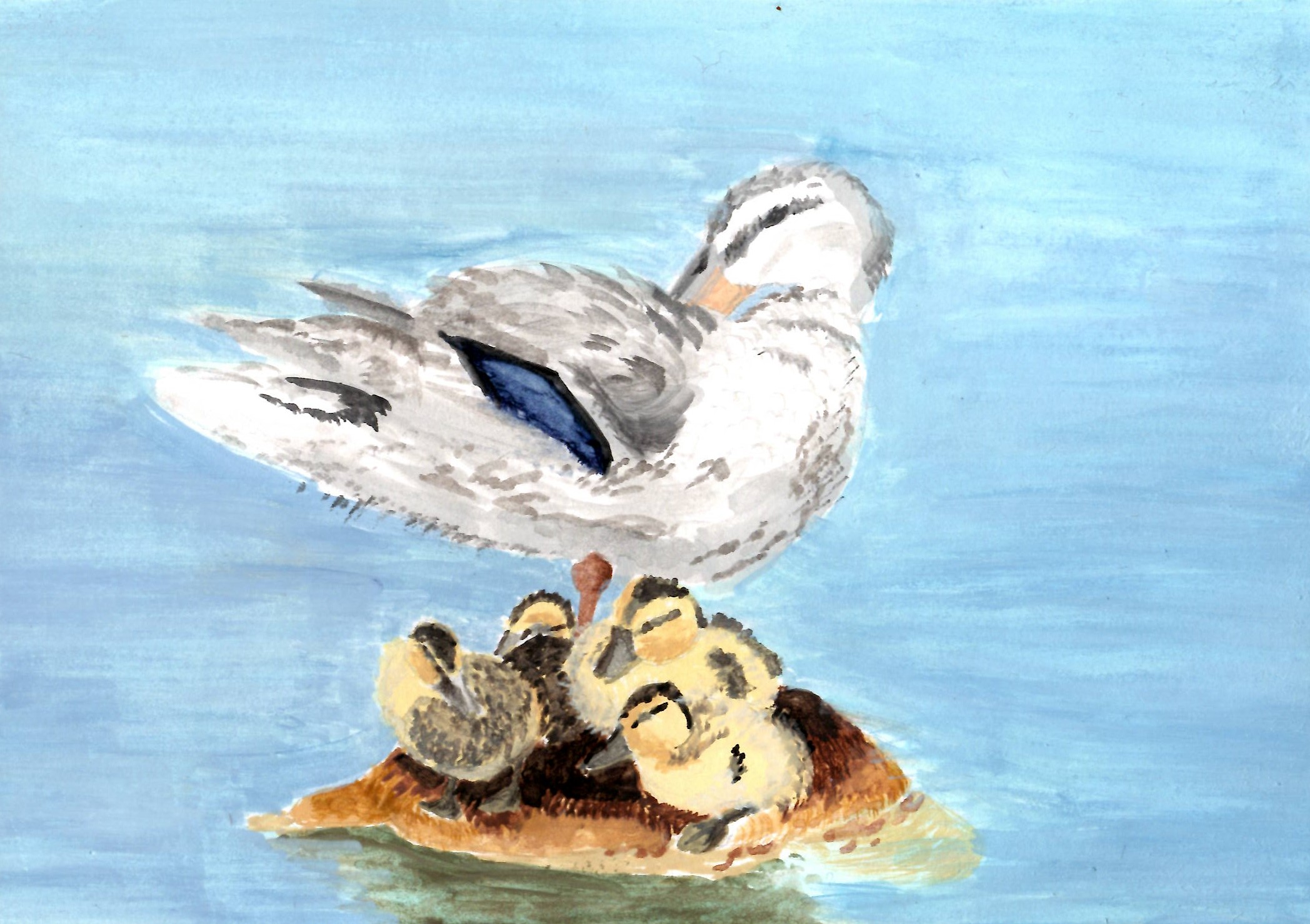 2022 - Ducks in Gouache