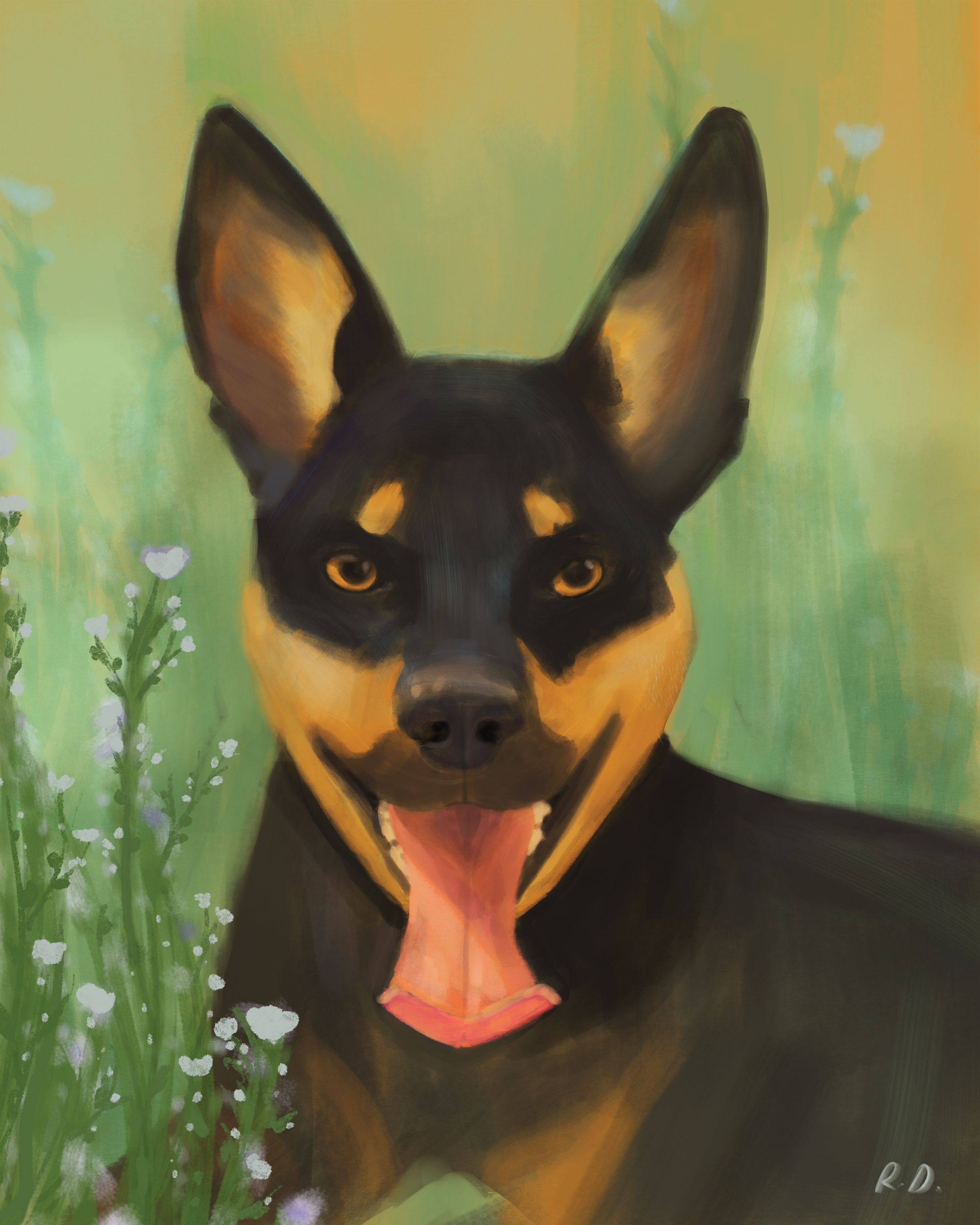 2022 - Ellie the Kelpie